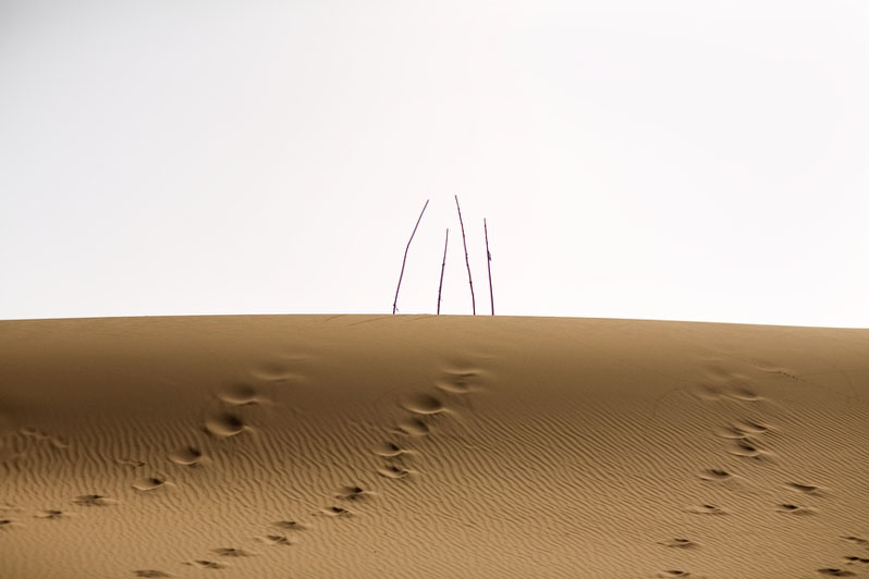 Unrevealed, Site 12 (Four Branches), 2009